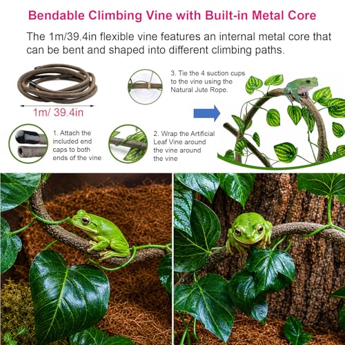Tree Frog Habitat Kit - Frogs Tank Accessories Set with Frog Holder, Foldable Water Dish, Frogs Hideout, Bendable Climbing Vine, Artificial Plants & Suction Cups for Tree Frog Terrarium - Image 3