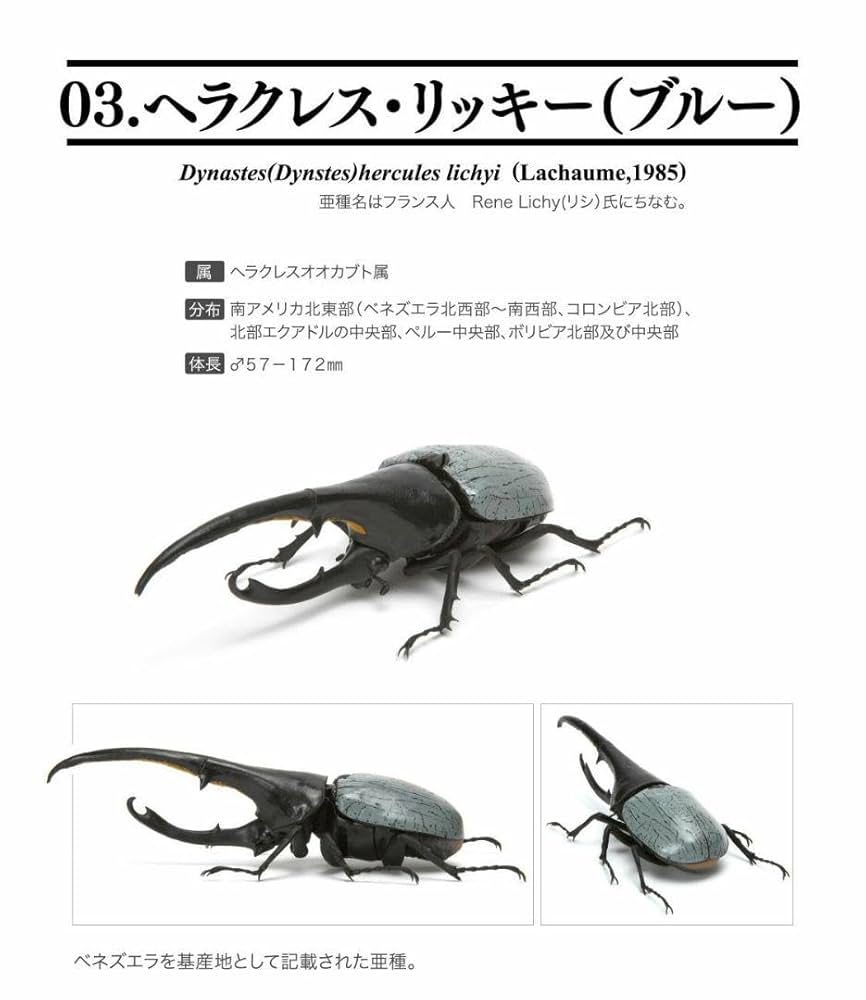 バンダイ　いきもの大図鑑プレミアム　ヘラクレスリッキーブルー いきもの大図鑑プレミアム ヘラクレスオオカブト（ヘラクレス