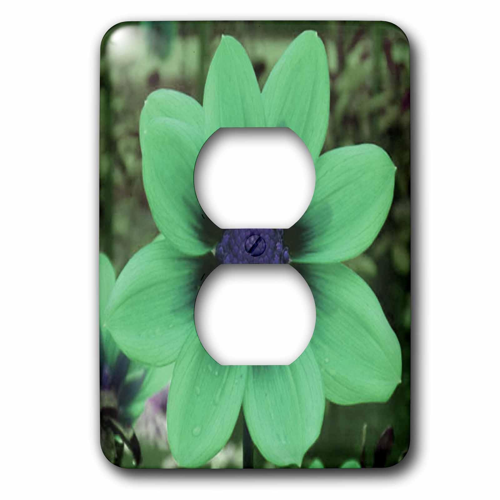 Bouchon de prise multicolore Cosmos Flower 3dRose pour embellir le salon ou la chambre