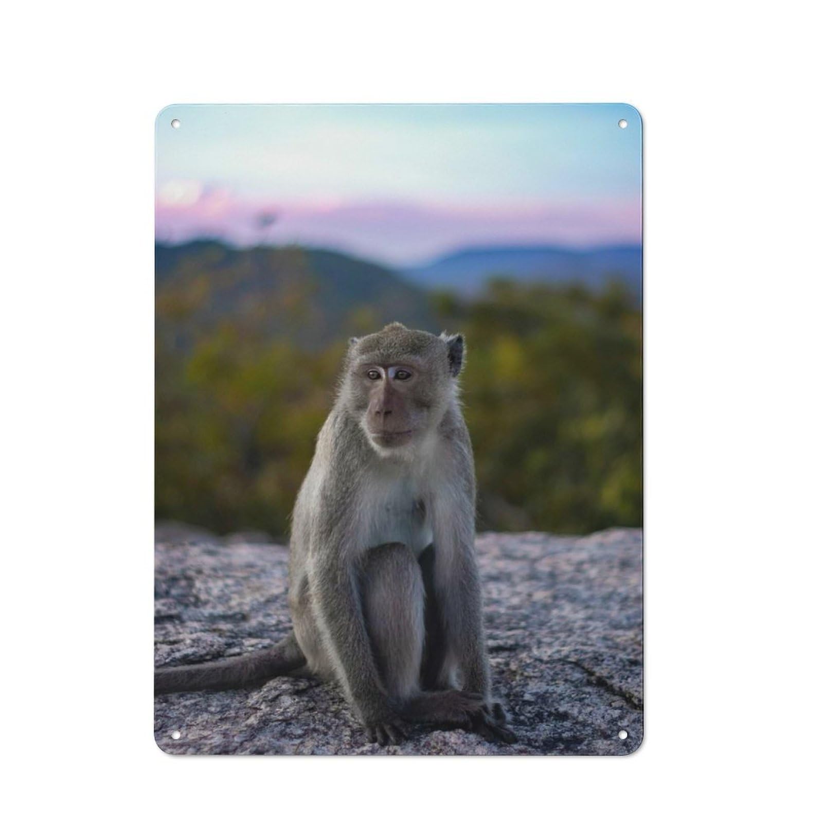 Junmoney Style-12 Retro Metal Sign With Monkey On A Mountaintop Design 40X30cm, Weathered Look Shed Wall Plaque For Garage, Workshop, Shed Or Utility Room