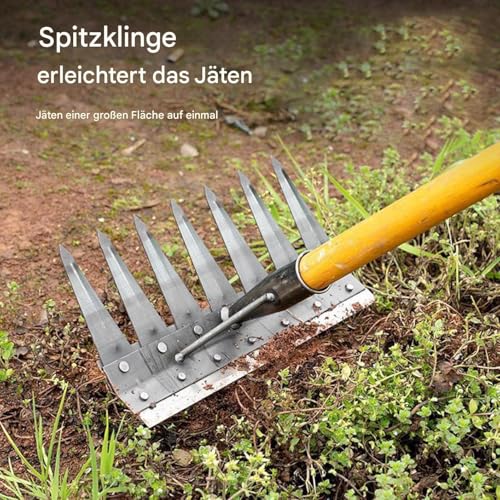 Binette de jardin et désherbeur manuel double face amovible pour le sol