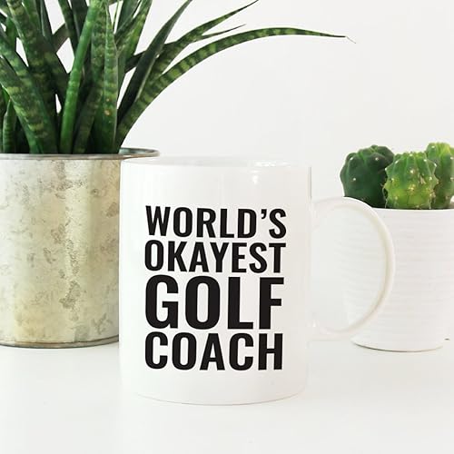 Vista 70 de Andaz Press Taza de café de 11 onzas, regalo de broma para profesores, enfermera escolar del mundo, paquete de 1, divertida taza de café ingeniosa