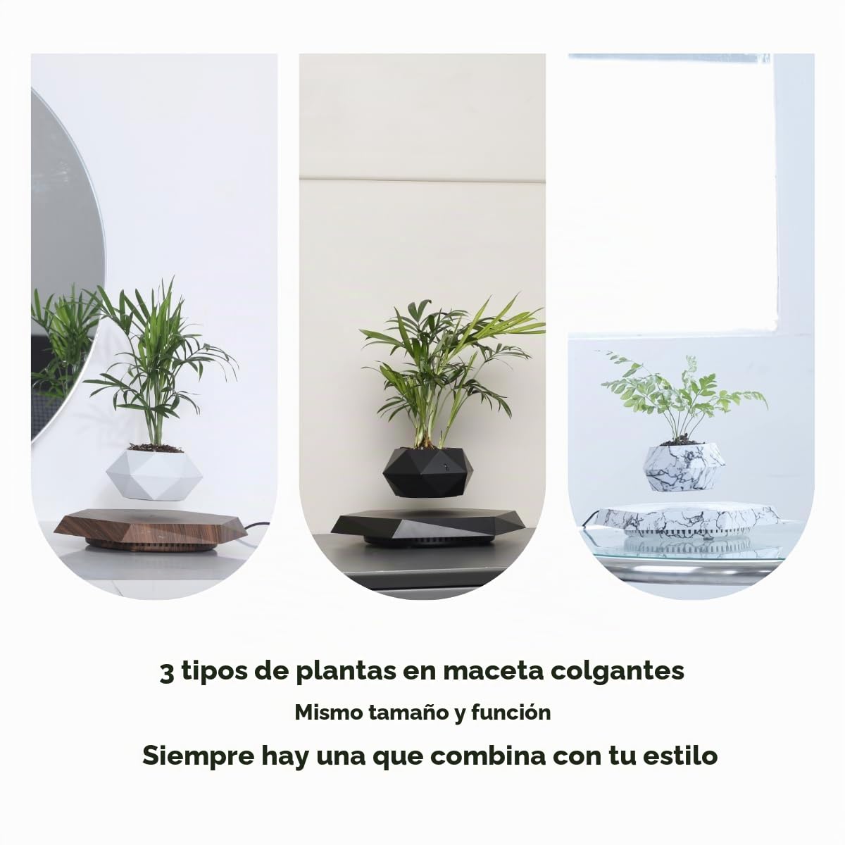 MOOCCI Maceta Flotante levitante, Regalo Ideal para el hogar para Novios, compañeros de Clase para Halloween, Acción de Gracias, Navidad