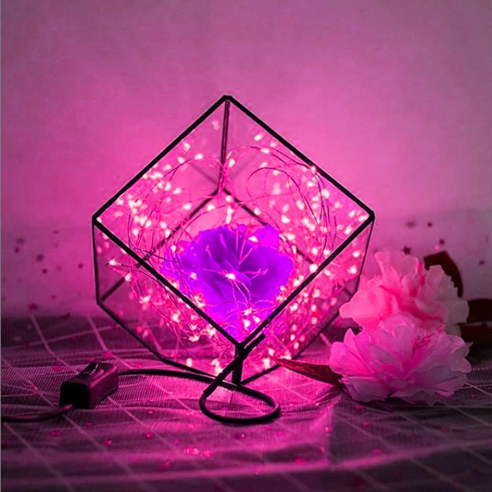 Bynlna String Lights,LED Copper Wire Lights, Each Set 33ft/10M 100LEDs and 6 Remote Control.AA Battery Powered,Decor Rope Lights for Holiday,Wedding, Parties.(Pink)