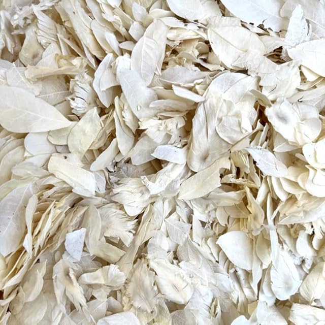 Dollz Confetti Biodegradable Wedding Flower - Ivory Flutterfall Petals  Throwing 1 Litre Natural Dried flowers for Decorations, Aisle, Festivals, girl basket and more (Ivory only)