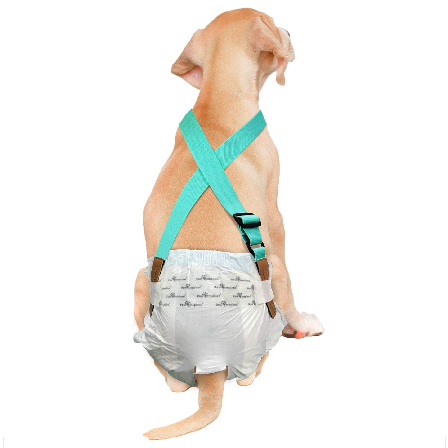 Paw Inspired Dog Diaper Suspenders with Velcro Fasteners | Stretchy Adjustable Suspenders for Female and Male Disposable and Washable Diapers | Fits Small, Medium and Large Size Pets (M/L, Aqua)