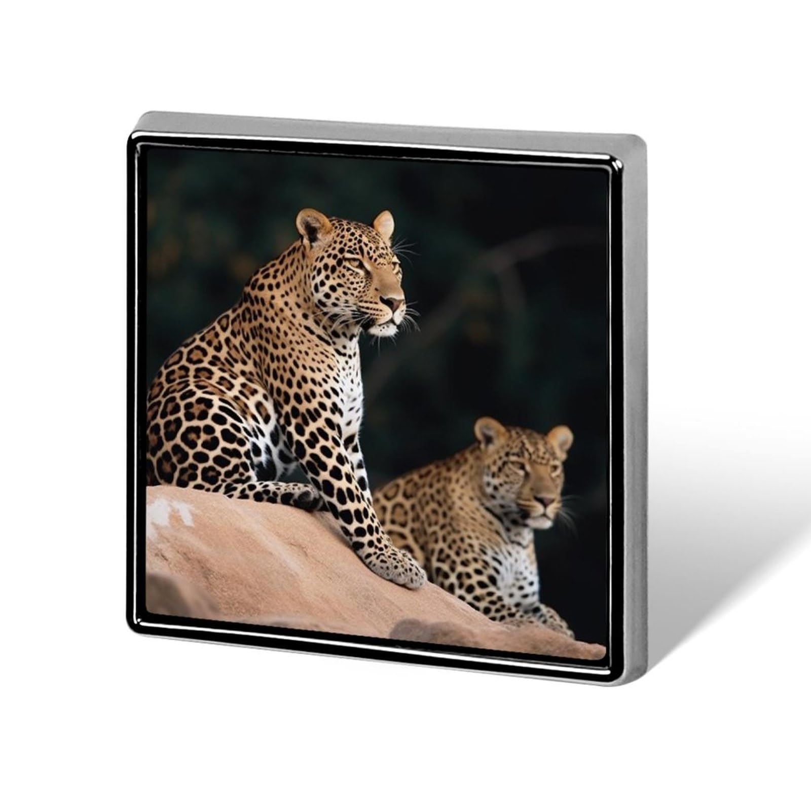 Square Lapel Pin Brooch Pin African Leopard on RockButton Badge for Men Women Suitable for Birthdays And Anniversaries of Family And Friends