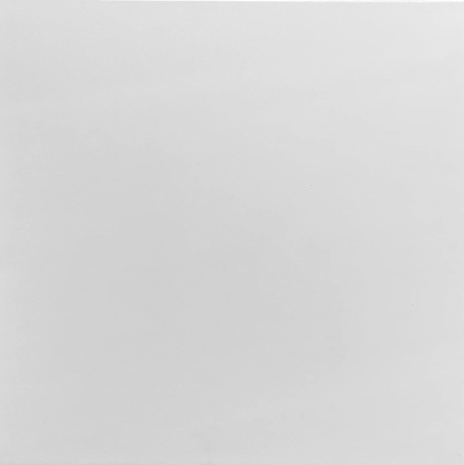 Moroccan Mosaic & Tile House Blanca 12 x 12 Ceramic Tile for Wall in Super White
