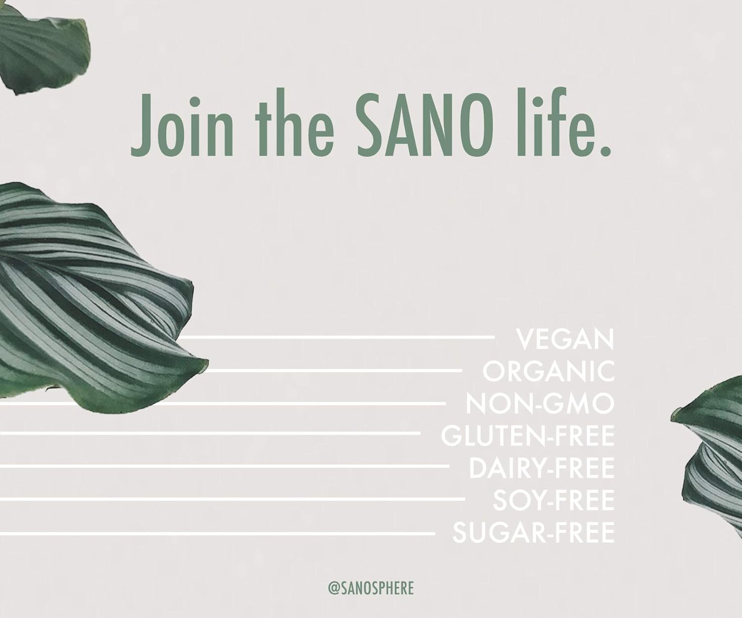 SANO Organic Vanilla Bean Plant Based Protein Powder, Vegan, Keto Friendly, Low Net Carbs, Non Dairy, Gluten Free, Sugar Free, Lactose Free, Soy Free, Non-GMO, 28 Single Serving Packets : Health & Household