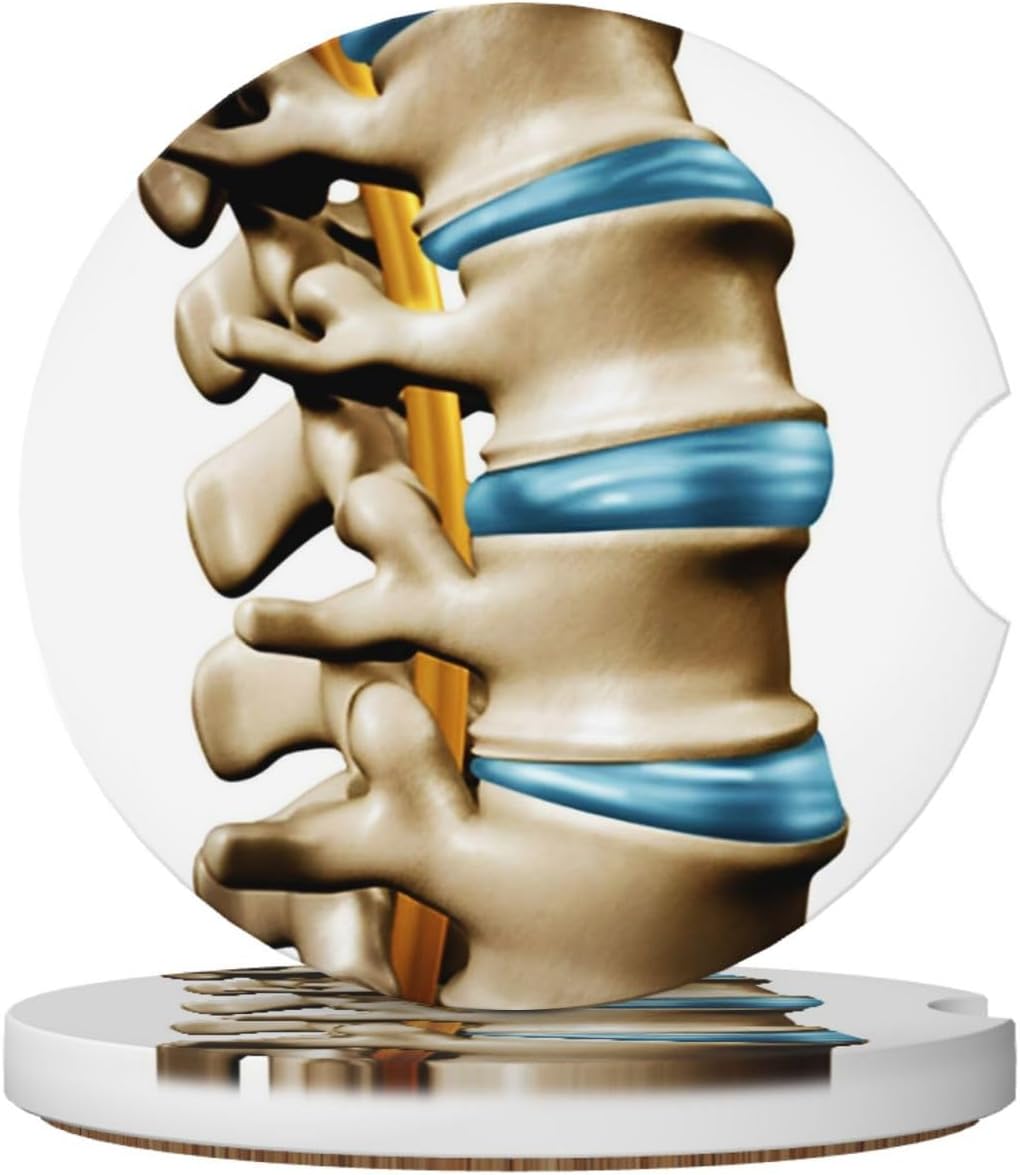 Car Cup Holder Coasters, Human Spine Anatomy Spinal Car Coasters for Cup Holder Drinks, 2 Pack Ceramic Cute Auto Interior Accessories for Women Men