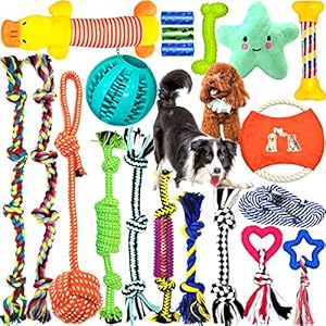 MULEVIP Juguetes para Perros 20pc Grupo de Juguetes para Perros Durable Masticable Cuerda Herramientas de Entrenamiento para Cachorros Pequeños Medianos Grandes Perros