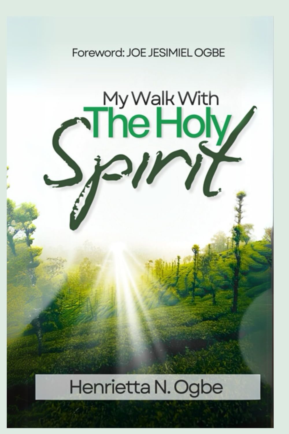 My Walk With The Holy Spirit
