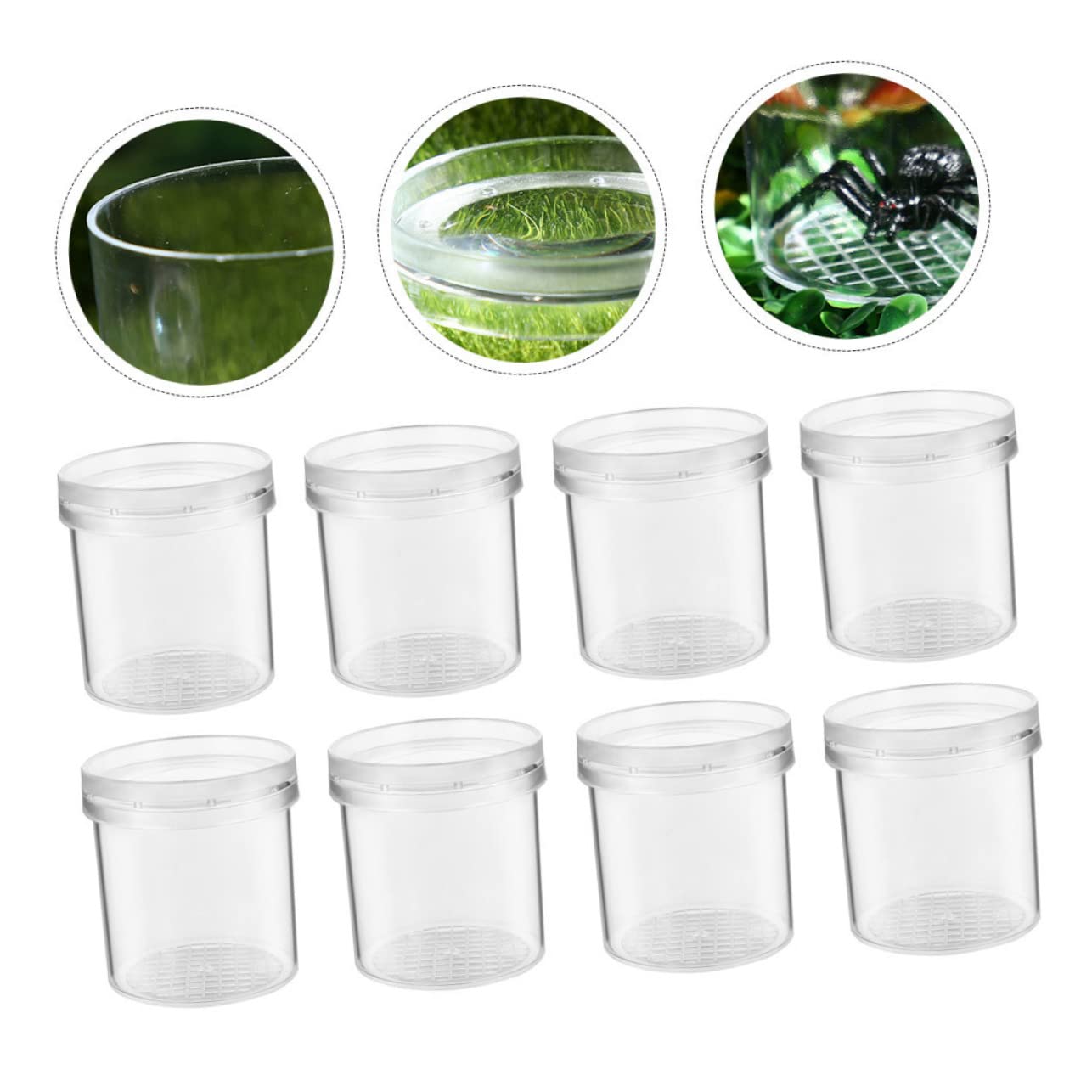 Caja de Aumento para Insectos de Plástico 15 Piezas Rejillas