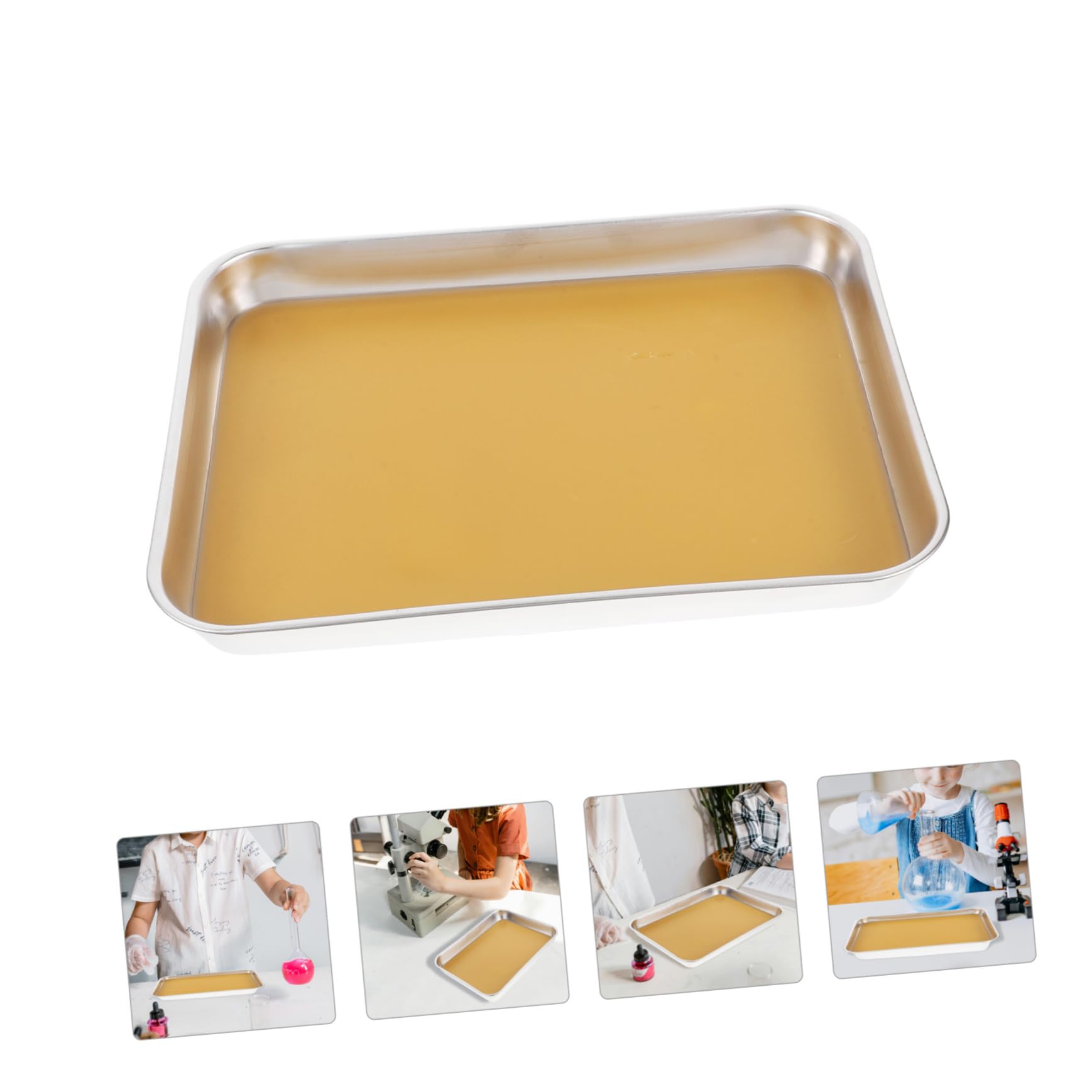 Vassoio di Dissezione e Posizionamento Sicuro in Acciaio Inossidabile con Rivestimento in Cera Supporto Educativo per Laboratorio di Specimen in Ambienti Biologici