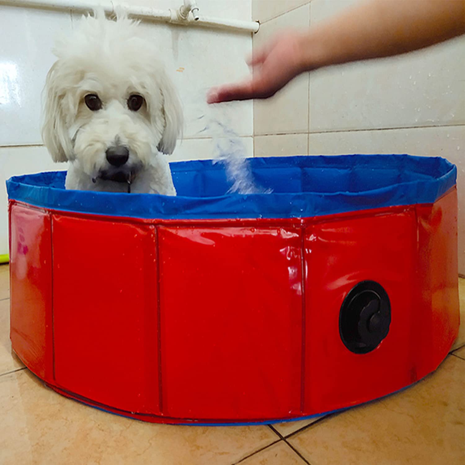 Baignoire pour Chien et Chat Piscine Pliable Portable pour Animal Compagnie Bassin Patageuoire en PVC Fond Antidérapant avec Vidange Latérale