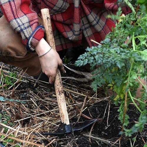 Kings County Tools Hoe Garden Tool - 18” Double-Sided Carbon Steel Garden Hoe and 2-Prong Cultivator - Multipurpose Tiller, Seeding, Planting and Weeding Tool - Hand Gardening Tools