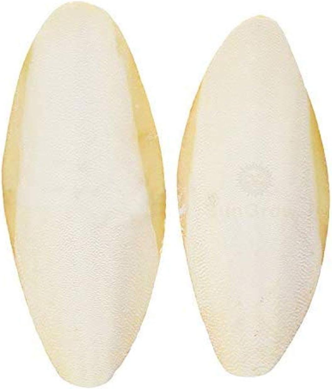 SunGrow 2 Pack Large 6 inch Cuttlefish Bones, Made with Real Cuttle Fish, Calcium Source for Parakeets, Turtles, Dog, Chicken, Pleco, Snails, and Shrimps