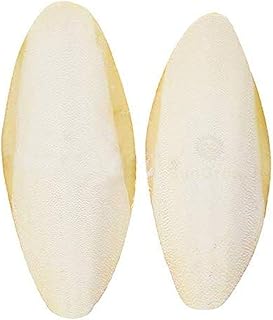 SunGrow 2 Pack Large 6 inch Cuttlefish Bones, Made with Real Cuttle Fish, Calcium Source for Parakeets, Turtles, Dog, Chicken, Pleco, Snails, and Shrimps