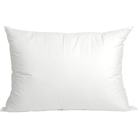 sleeping pillow flight