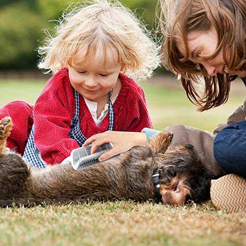 Kätzchen Selbst Pflege Massage Bürste Wand Ecke Bürste Werkzeug Katze Toys Selbstreinigende Katzenbürste mit Katzenminze Unterstützung für Türen Tisch Wände