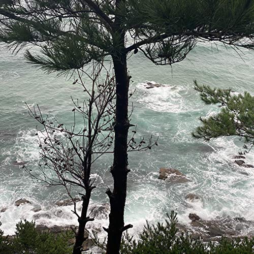 Mozart Turkish March