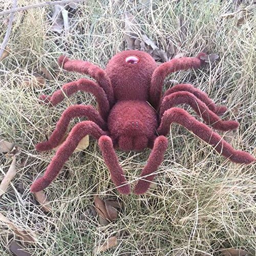 Image of the RC spider resting on dry grass outdoors.