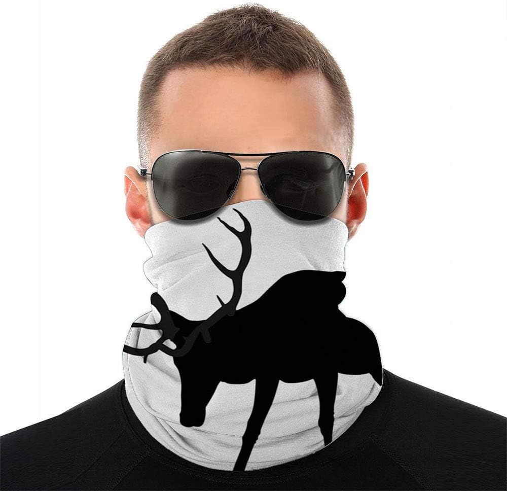 cuffia musicale per le orecchie del casco da sci