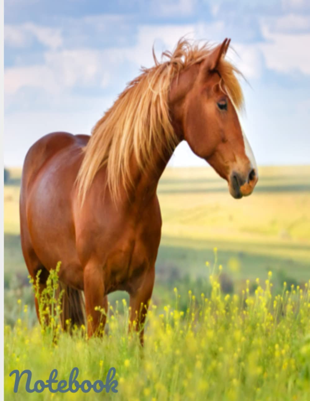 Horse Notebook: Horse Notebook--100 pages--college rule--8.5 x 11 inches