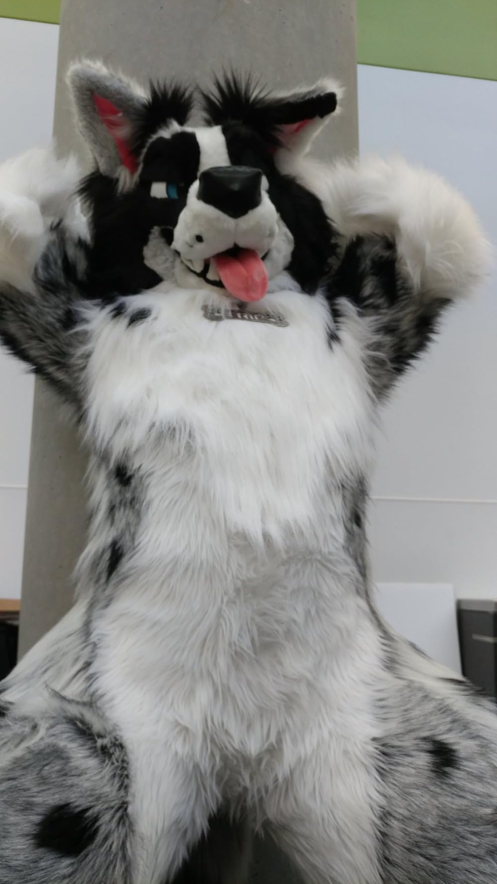 Long Fur Fox Dog Husky Mascot Costume Furry Suit Fursuit Party Suit