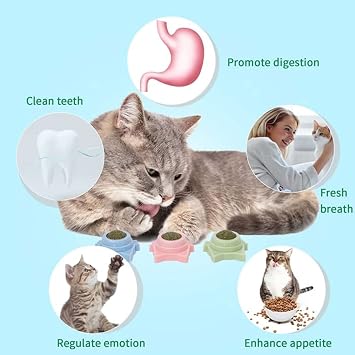 Natural Catnips Mint Lollipop Tease Toy Molar Stick Chew Toy for Cat 08