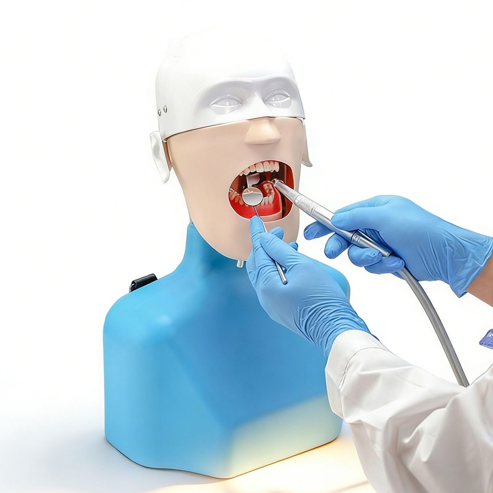 Symulator stomatologiczny manekina głowa fantomowa model edukacyjny z 28 odłączanymi zębami, narzędzie do praktyki dentystycznej, idealny do treningu stomatologicznego i rozwoju umiejętności