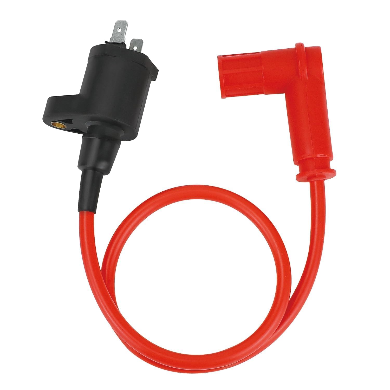 Amazon | JetsetMoto イグニッションコイル12V モンキー/ゴリラ