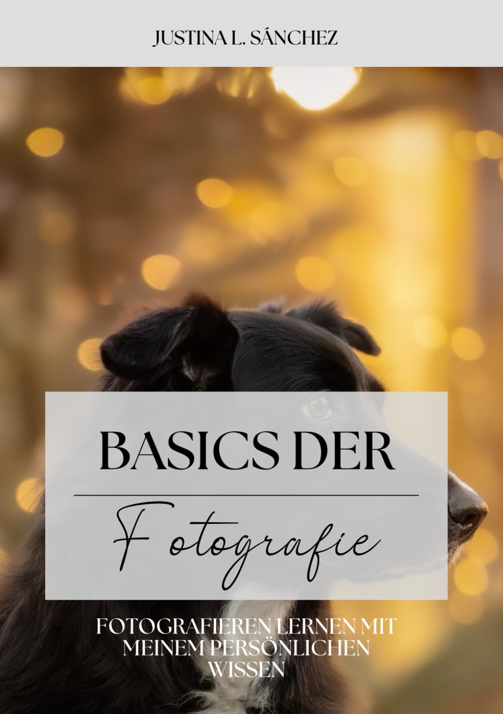 Basics der Fotografie