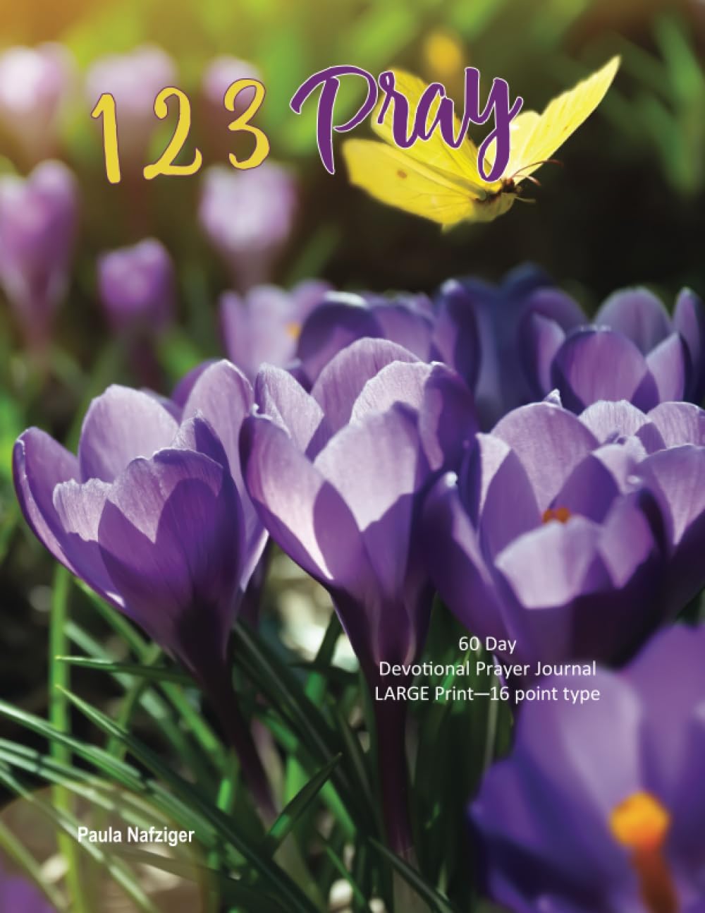 123 Pray: 60 Day Devotional Prayer Journal