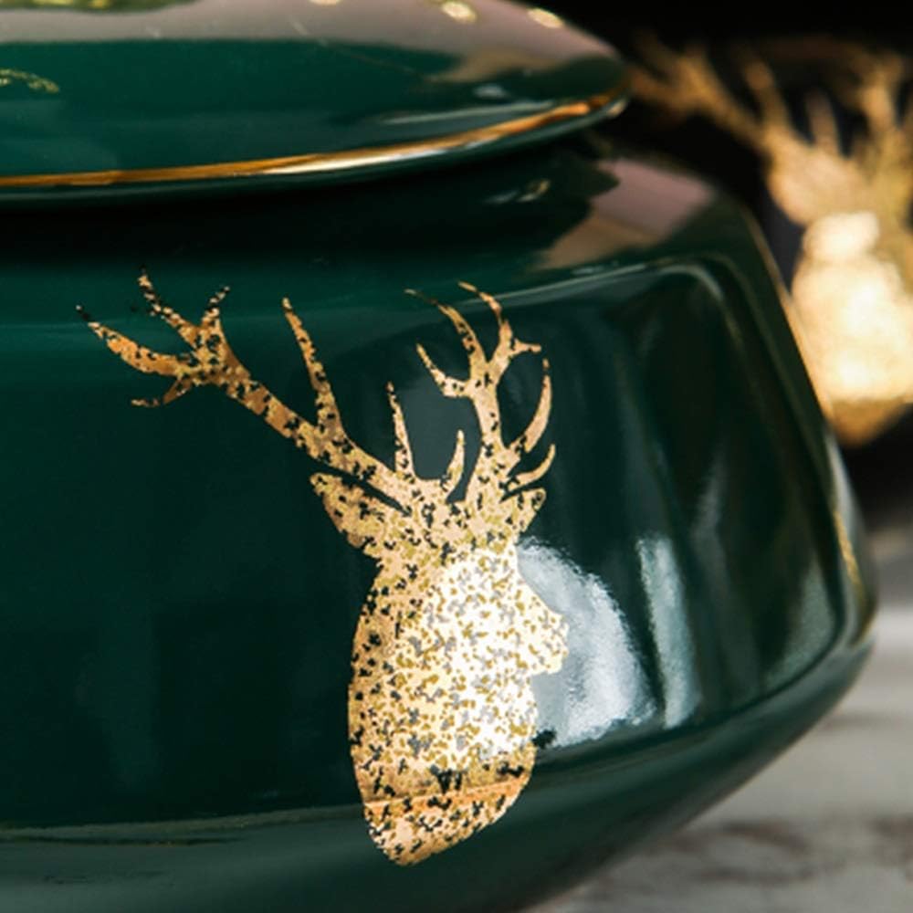 ストレリチア レギネ ファイバー鉢 お皿付き ストレリチア レギネ