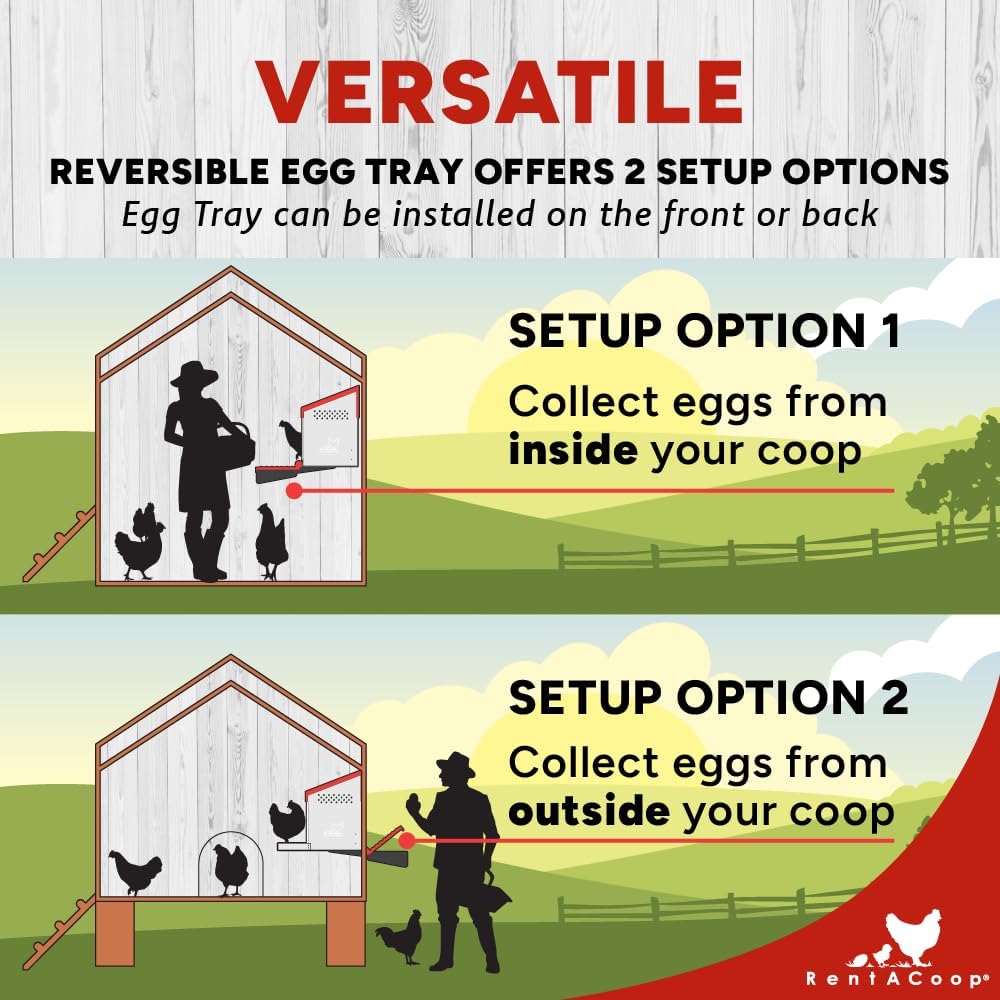 RentACoop Roll-Out Reversible Nesting Box Efficiency (One Compartment) for Chickens, Ducks, Poultry