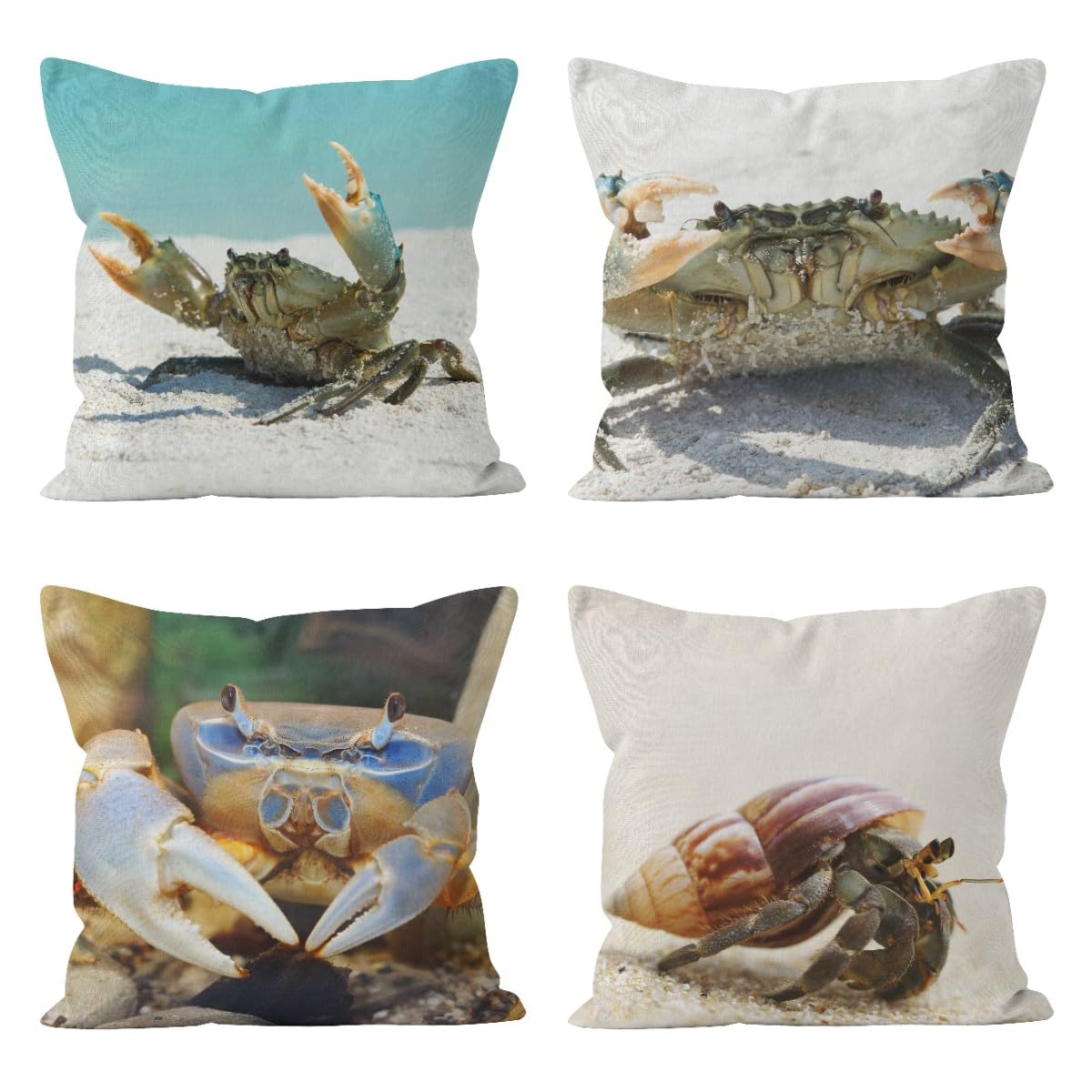 Housse coussin lin 50x50cm premium, lot de 4 taies élégantes et durables