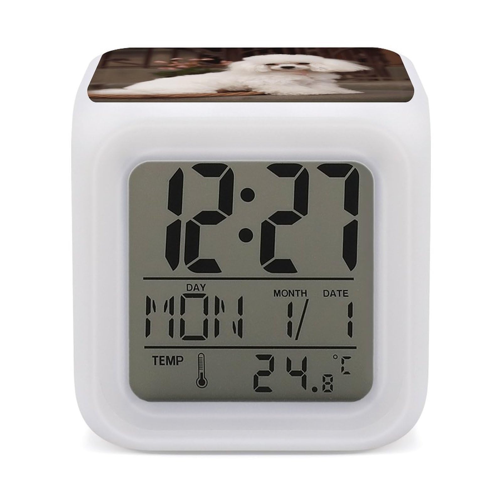 VstaDank French Poodle Alarm Clocks with 7 Color Changing Night Light Exquisite Bedroom Digital Clocks with LED Temperature Display Desk Clock Ok to Wake Clocks for Heavy Sleeper