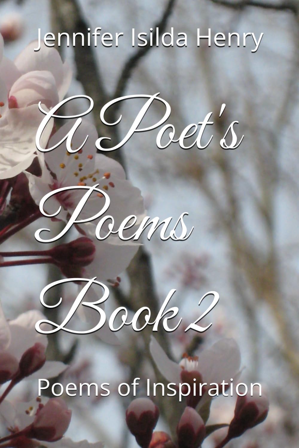 A Poet's Poems Book 2: Poems of Inspiration