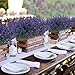 KLEMOO Artificial Lavender Flowers Plants 6 Pieces, Lifelike UV Resistant Fake Shrubs Greenery Bushes Bouquet to Brighten up Your Home Kitchen Garden Indoor Outdoor Decor(Purple)