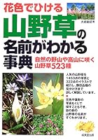 花色でひける山野草の名前がわかる事典―自然の野山や高山に咲く山野草523種 4415029795 Book Cover