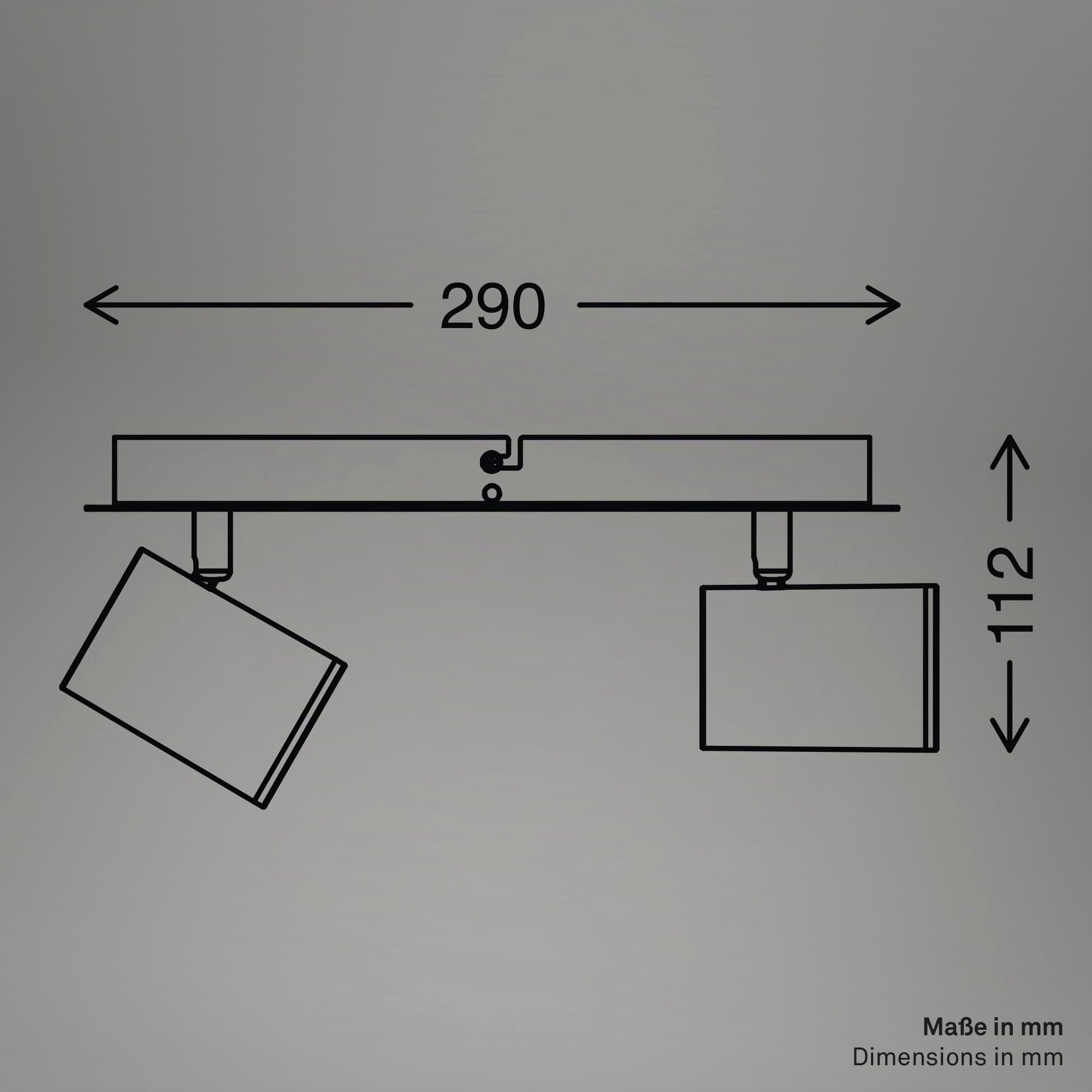 BRILONER Leuchten - Spot de plafond, luminaire de salle de bains, lampe de salle de bains, plafonnier orientable et pivotant, 2x LED/GU10, IP44, noir, 290x99x112 mm (LxlxH)