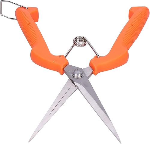 Miniatura 3 de Tijeras de podar de jardín, tijeras de podar de mano, tijeras de jardín de floristería, tijeras de mango largo para recolección de frutas para