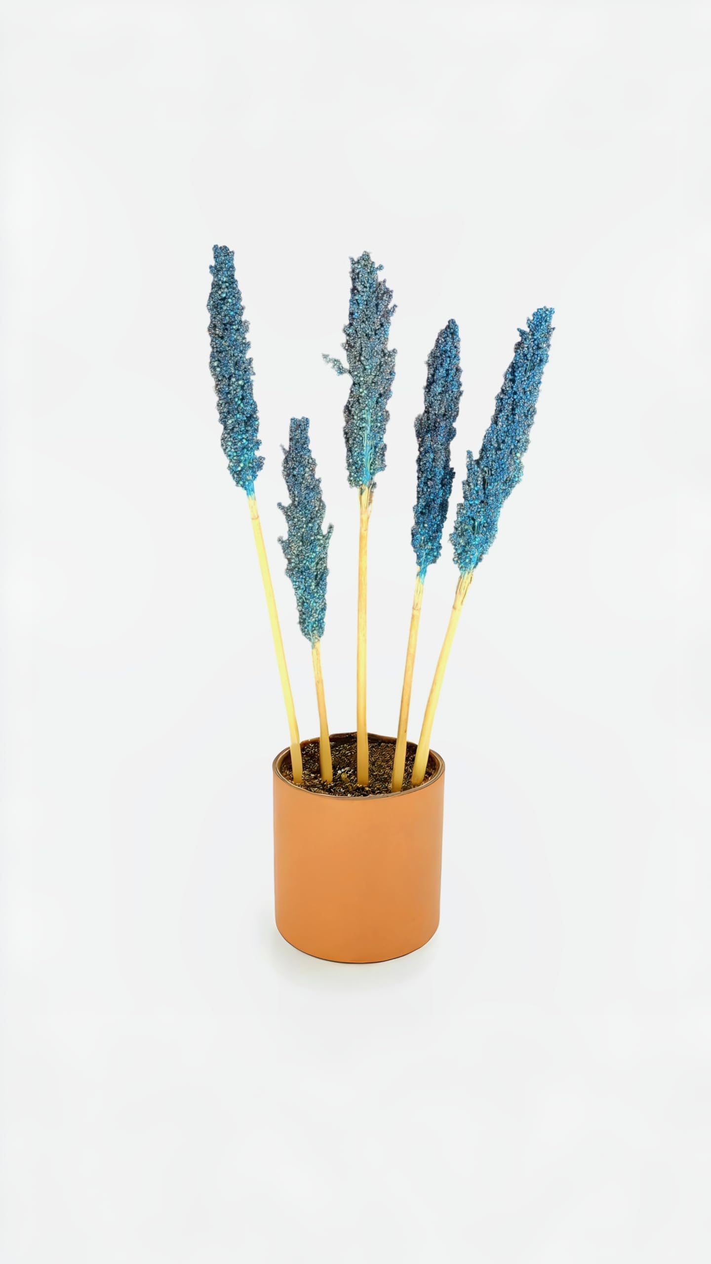 RUKDA® Dried Blue Sorghum Flower Sheaves || Stalks Dried Flower Dry Grass Bouquet for Wedding Table Centerpieces, Home & Office Decoration - 2pcs 4