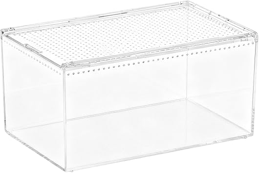 Jumping Spider Enclosure Transparent Ventilated Escape-Proof