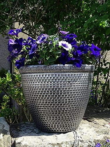 SG Traders 2 X Large Plastic Round Cromarty Plant Pot Flower Pot Planter Garden Decoration Gold 30cm Plant Pot Outdoor Flower Pots Outside Garden Planters Outdoor With Drainage Holes