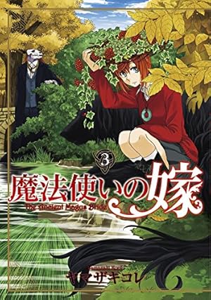 魔法使いの嫁 16 (BLADE COMICS) | ヤマザキコレ |本 | 通販 | Amazon