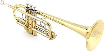 Amazon.com: Yamaha YTR-8445 II Xeno Professional C Trumpet