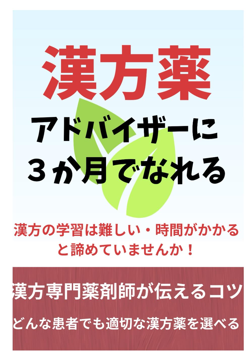 漢方薬アドバイザーに３か月でなれる本
