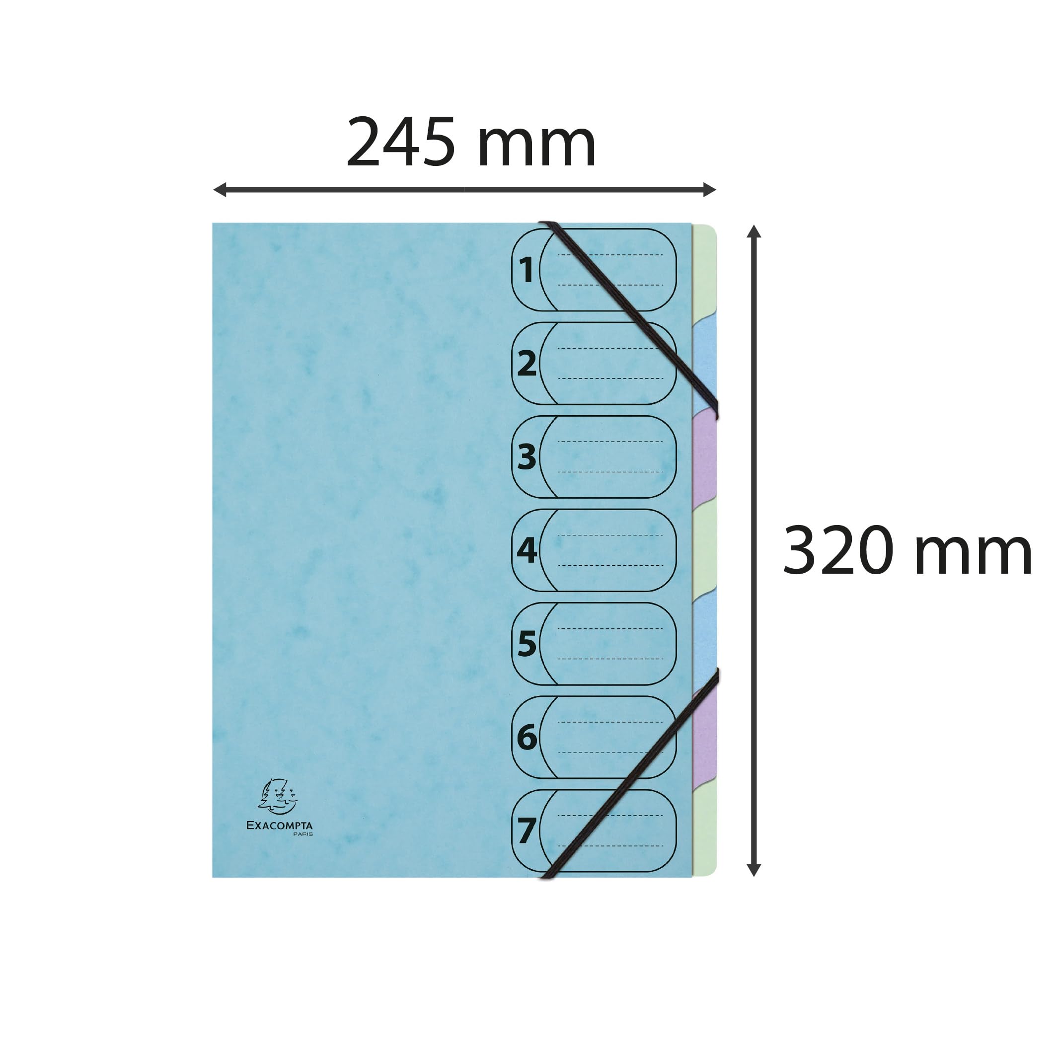 Exacompta - Rif. 56562E - Cartone da 8 raccoglitori Harmonika con elastici a 7 scomparti, A4, colore blu pastello